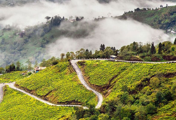 bhutan-package