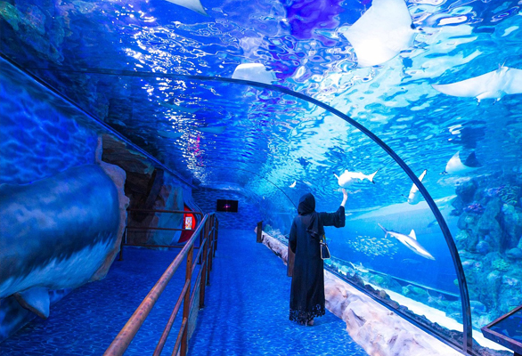 dubai-package
