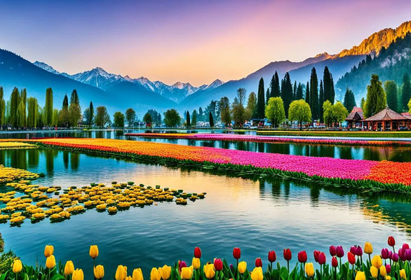 kashmir-package